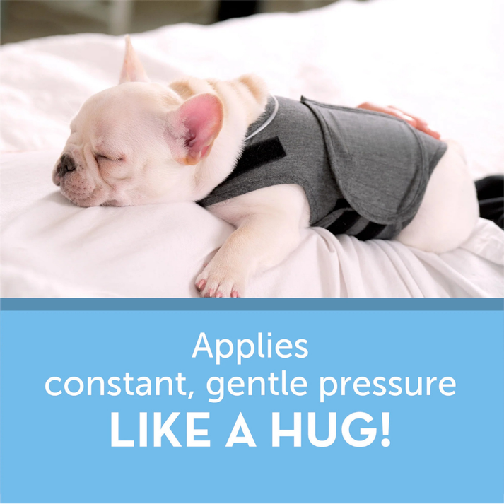 Whispaw CalmWrap For Dogs