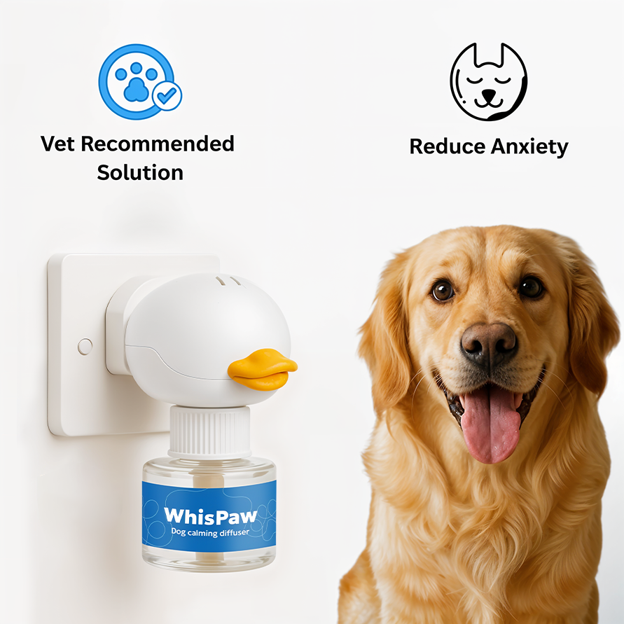 Silence The Barking And Restore Neighbourhood Peace With Whispaw