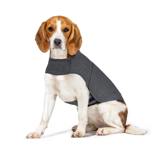 Whispaw CalmWrap For Dogs